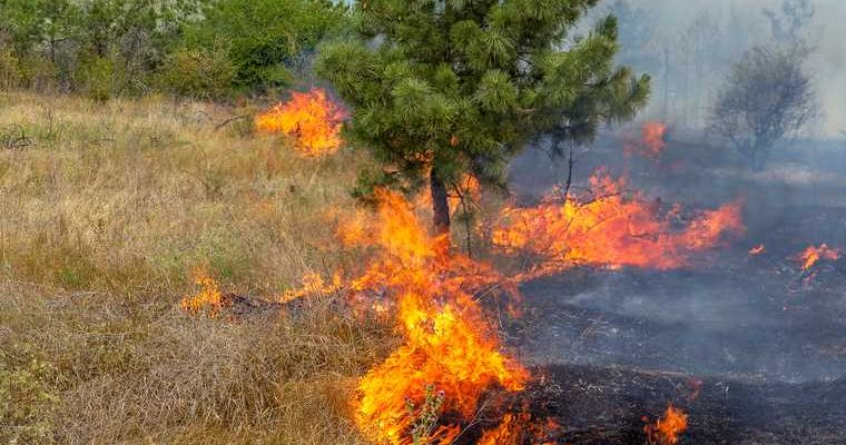 пожары Тюменская область смог причины