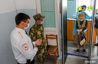 Челябинская область Конституция поправки явка голосование 15 30