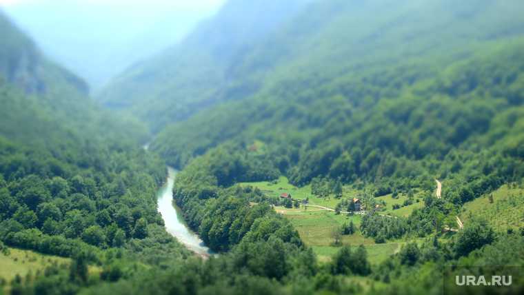 Черногория открытие границ