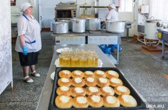 Курганская область школы будут кормить Единая Росси