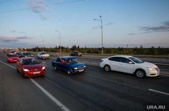 сторонники Лукашенко устроили автопробег