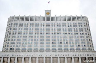 изменение Конституция двойное гражданство Крашенинников