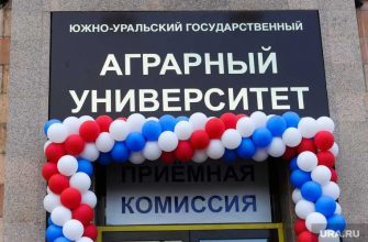 южно-уральский аграрный университет черепухина светлана