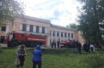 школа уфалей пожар причина