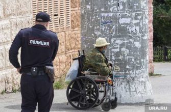 петр зайцев новости