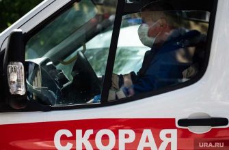 коронавирус статистика