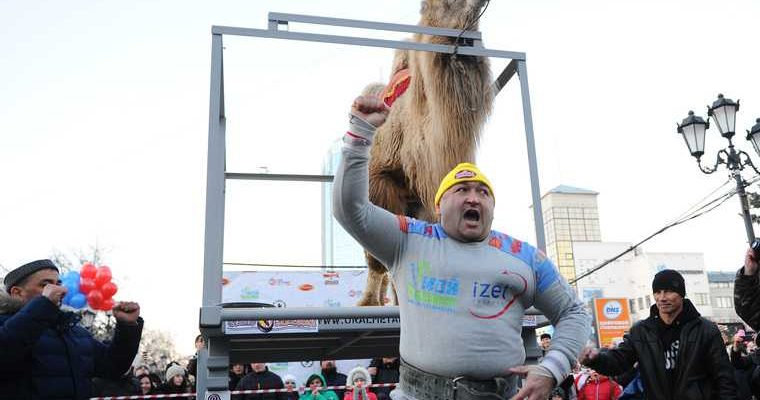 рекорд верблюд Челябинск