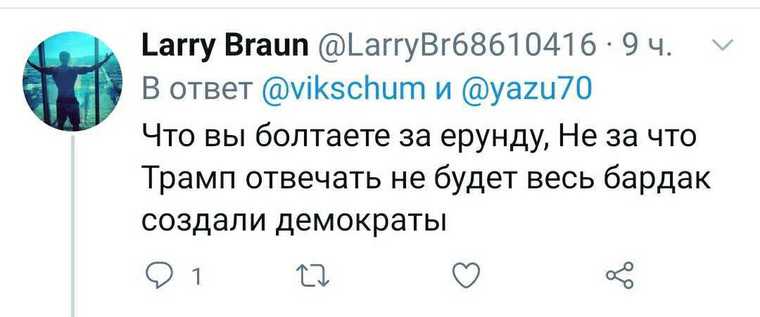 Соцсети разделились на два лагеря после штурма Капитолия. «Американцы не дадут украсть свободу»