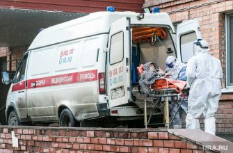 Челябинская область коронавирус COVID заражения умерли 21 декабря