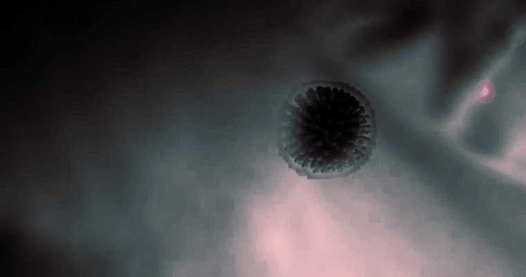 вакцинация от коронавируса