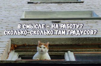 Шумков Курганская область