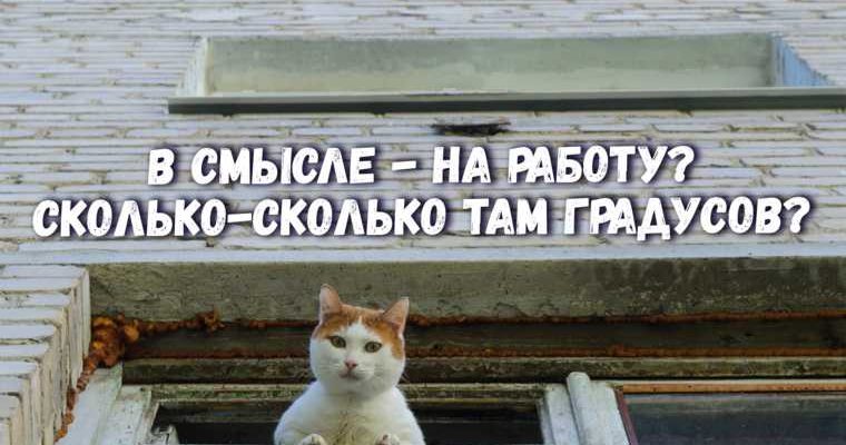 Шумков Курганская область
