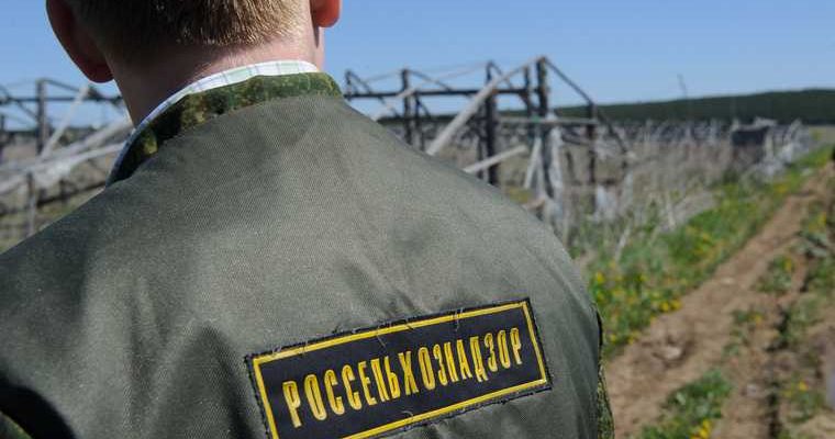 россельхознадзор объединение управлений челябинск курган