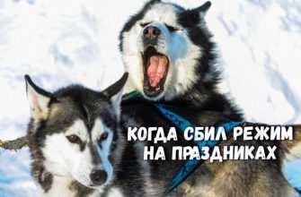 инсайды Свердловская область слухи