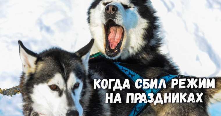 инсайды Свердловская область слухи