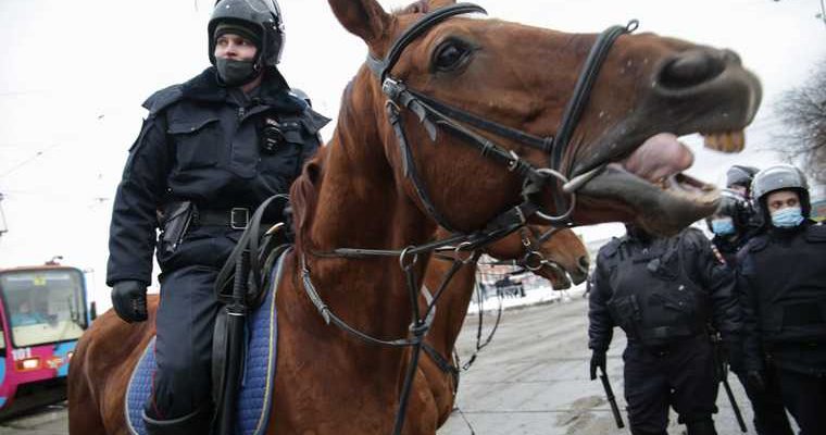 полиция гу мвд пермь