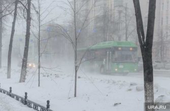 В Тюмени отменили автобусы в Курган