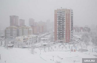 погода в феврале 2021 года