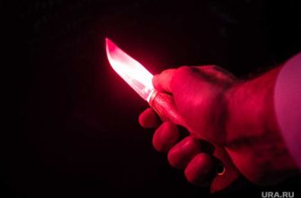 Россия Москва происшествия ребенок зарезали почему нож