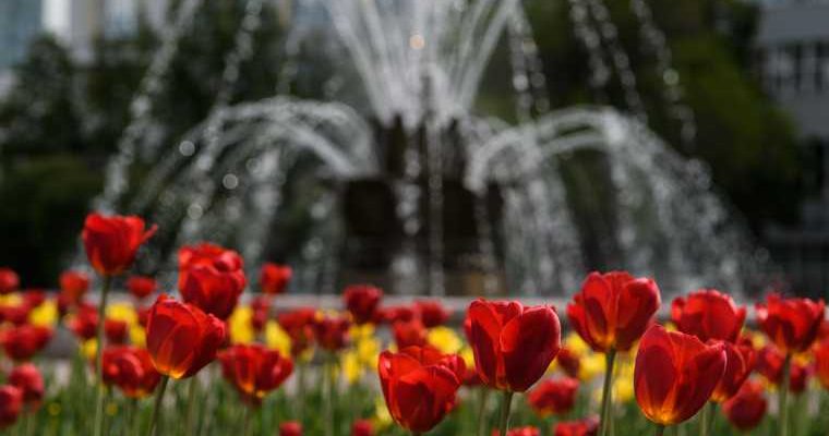 коронавирус распространение