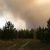 В курганском районе сгорела тысяча гектаров леса. Фото, видео
