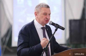 предварительное голосование ЕР