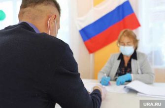 голосование ДНР ЛНР Донбасс как будут голосовать депутат Владислав Бриг