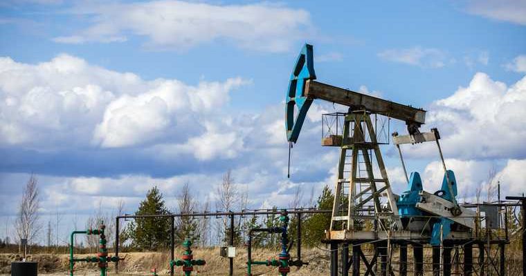 Николай Шульгинов