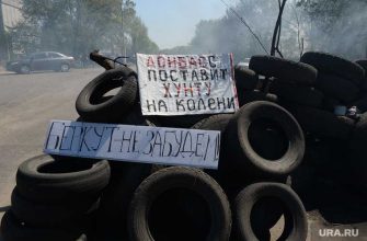 встреча Путина и Зеленского