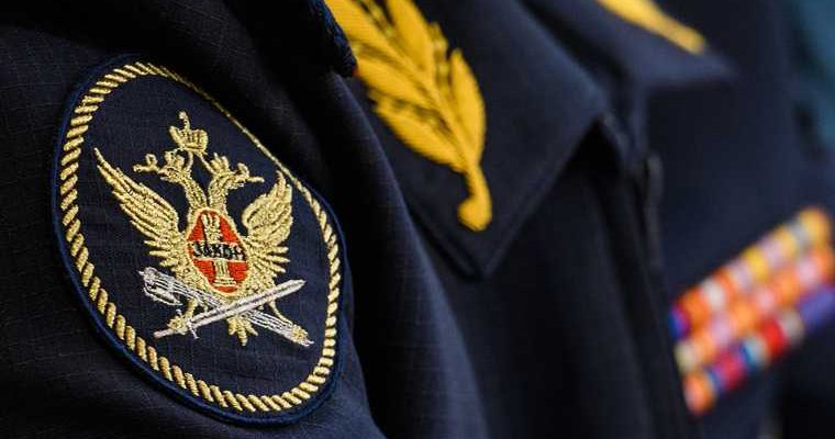 гу фсин челябинская область доходы