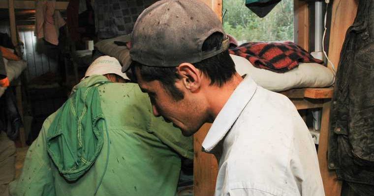 мигранты иностранные граждане