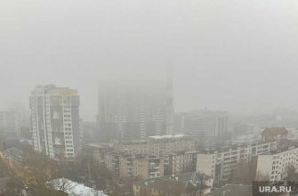 москва подмосковье погода 7 дней