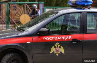 сообщения поступают