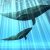 СМИ: в России начинается новая волна «Синего кита»