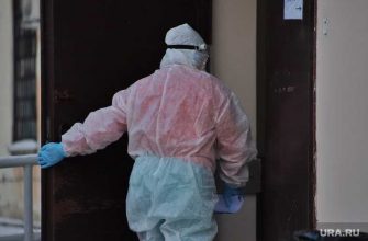 общество