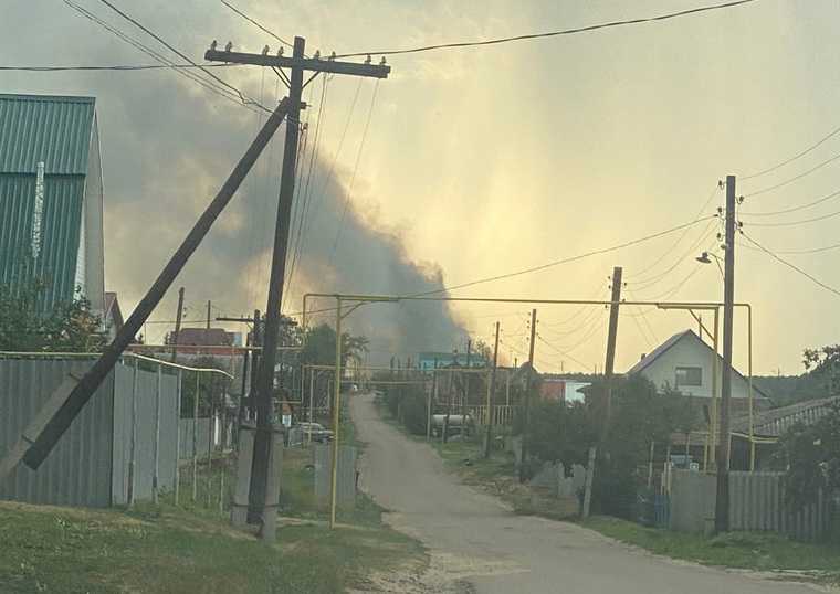 В Курганской области произошел пожар на свалке. Фото
